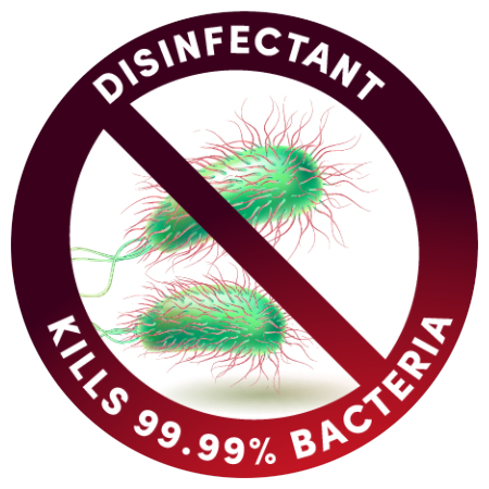 Bacteria Disinfection